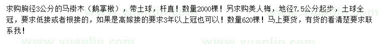 求购胸径3公分马褂木、地径7.5公分以上美人梅