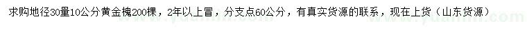 求购30量10公分黄金槐