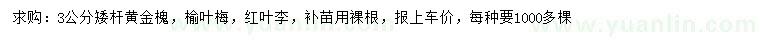 求购黄金槐、榆叶梅，红叶李