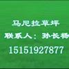 常州草坪、马尼拉草坪、高羊茅草坪、混播草大量供应