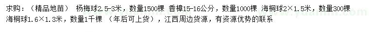 求购杨梅球、香樟、海桐球