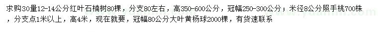 求购红叶石楠、照手桃、大叶黄杨球