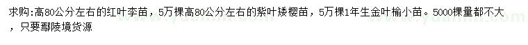 求购红叶李、紫叶矮樱、金叶榆