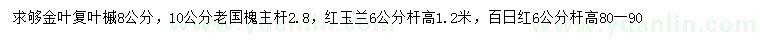 求购金叶复叶槭、老国槐、红玉兰等