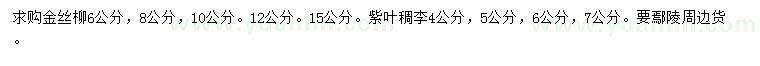 求购6、8、10、12、15公分金丝柳、4、5、6、7公分紫叶稠李