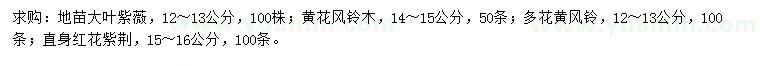 求购大叶紫薇、黄花风铃木、多花黄风铃等