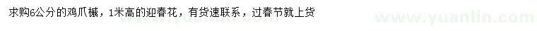 求购6公分鸡爪槭、高1米迎春花