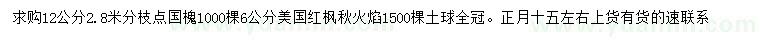 求购12公分国槐、6公分美国红枫秋火焰