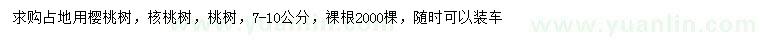 求购占地用樱桃树、核桃树、桃树