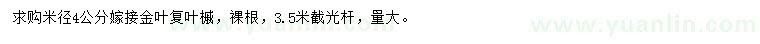 求购米径4公分嫁接金叶复叶槭