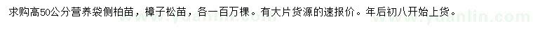 求购高50公分侧柏苗、樟子松苗