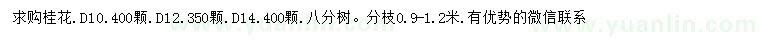 求购地径10、12、14公分桂花