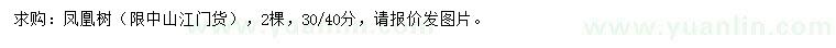 求购30、40公分凤凰树