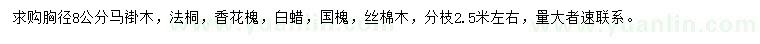 求购马褂木、法桐、香花槐等