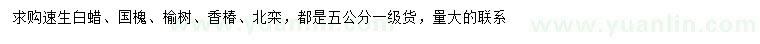 求购速生白蜡、国槐、榆树等