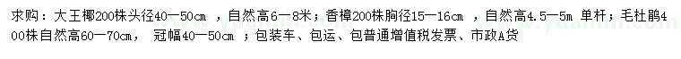 求购大王椰、香樟、毛杜鹃