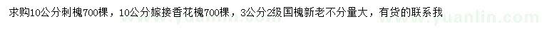 求购刺槐、香花槐、国槐