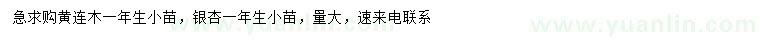 求购一年生黄连木小苗、银杏小苗