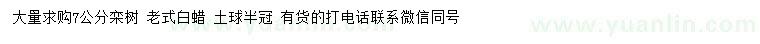 求购7公分栾树、老式白蜡