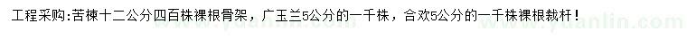 求购苦楝、广玉兰、合欢