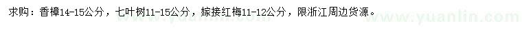 求购香樟、七叶树、嫁接红梅