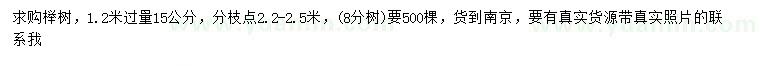 求购1.2米过量15公分榉树