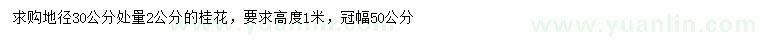 求购地径30公分量2公分桂花