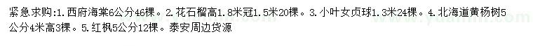 求购西府海棠、花石榴、小叶女贞等