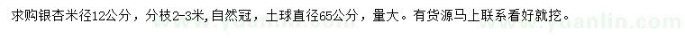 求购米径12公分银杏