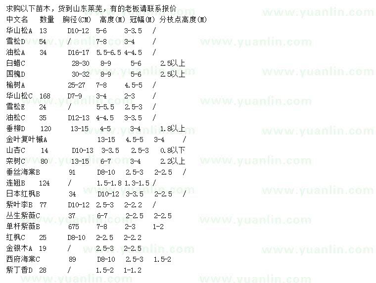 求购华山松、雪松、油松等