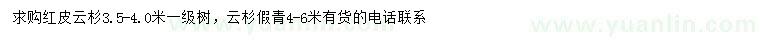 求购3.5-4米红皮云杉、4-6米云杉假青