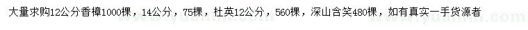 求购香樟、杜英、深山含笑