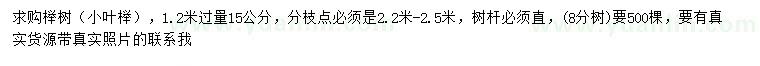 求购1.2米量15公分榉树