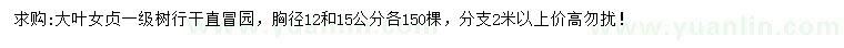 求购胸径12、15公分大叶女贞