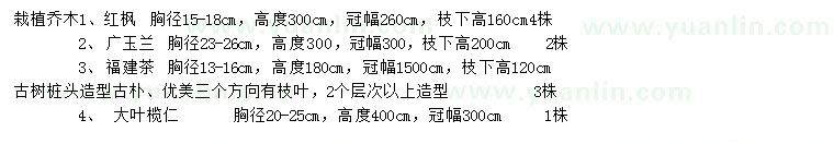 求购红枫、广玉兰、福建茶等