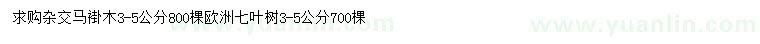 求购3-5公分杂交马褂木、欧洲七叶树