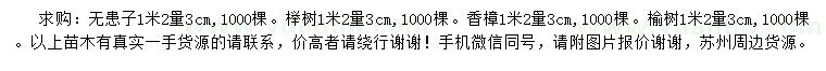 求购无患子、榉树、榆树等