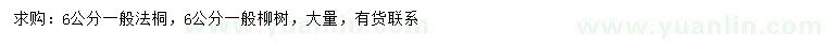 求购6公分法桐、柳树