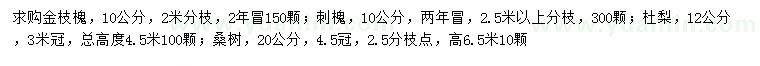 求购金枝槐、刺槐、杜梨等