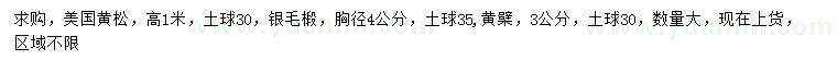 求购胸径4公分美国黄松、3公分黄檗