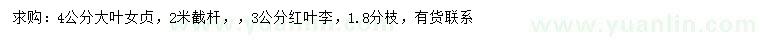 求购4公分大叶女贞、3公分红叶李