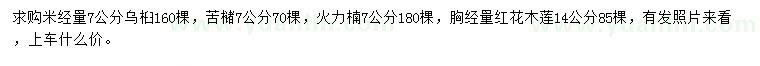 求购乌桕、苦槠、火力楠等