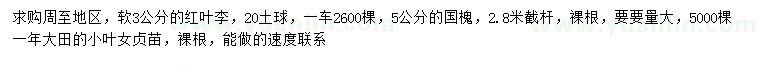 求购红叶李、国槐、小叶女贞苗