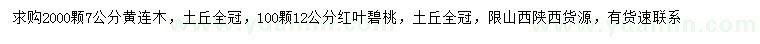 求购7公分黄连木、12公分红叶碧桃