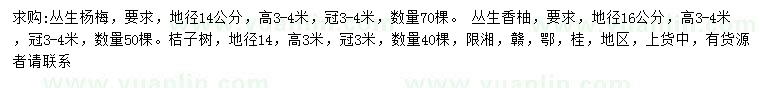 求购丛生杨梅、丛生香柚、桔子树