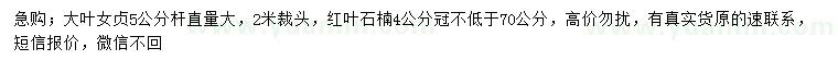 求购5公分大叶女贞、4公分红叶石楠