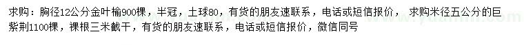 求购胸径12公分金叶榆、米径5公分巨紫荆