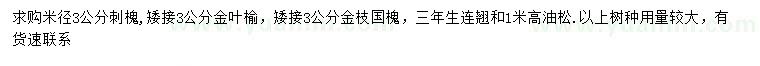 求购刺槐、金叶榆、金枝国槐等