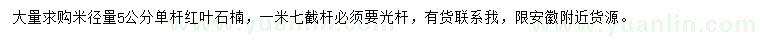 求购米径5公分单杆红叶石楠