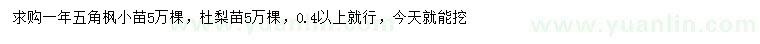 求购0.4公分以上五角枫小苗、杜梨苗